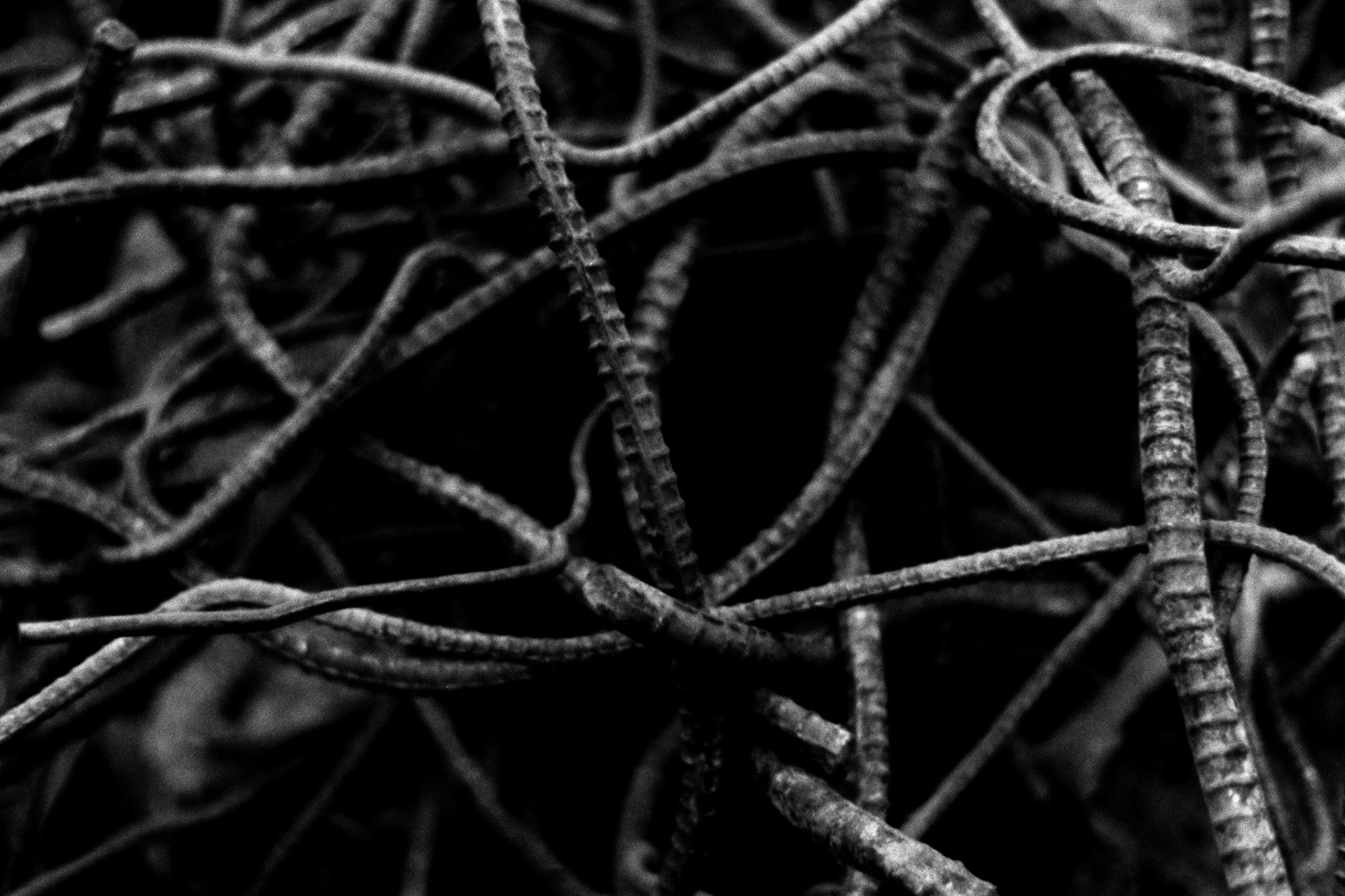 フミコトキオ | fumikotokio