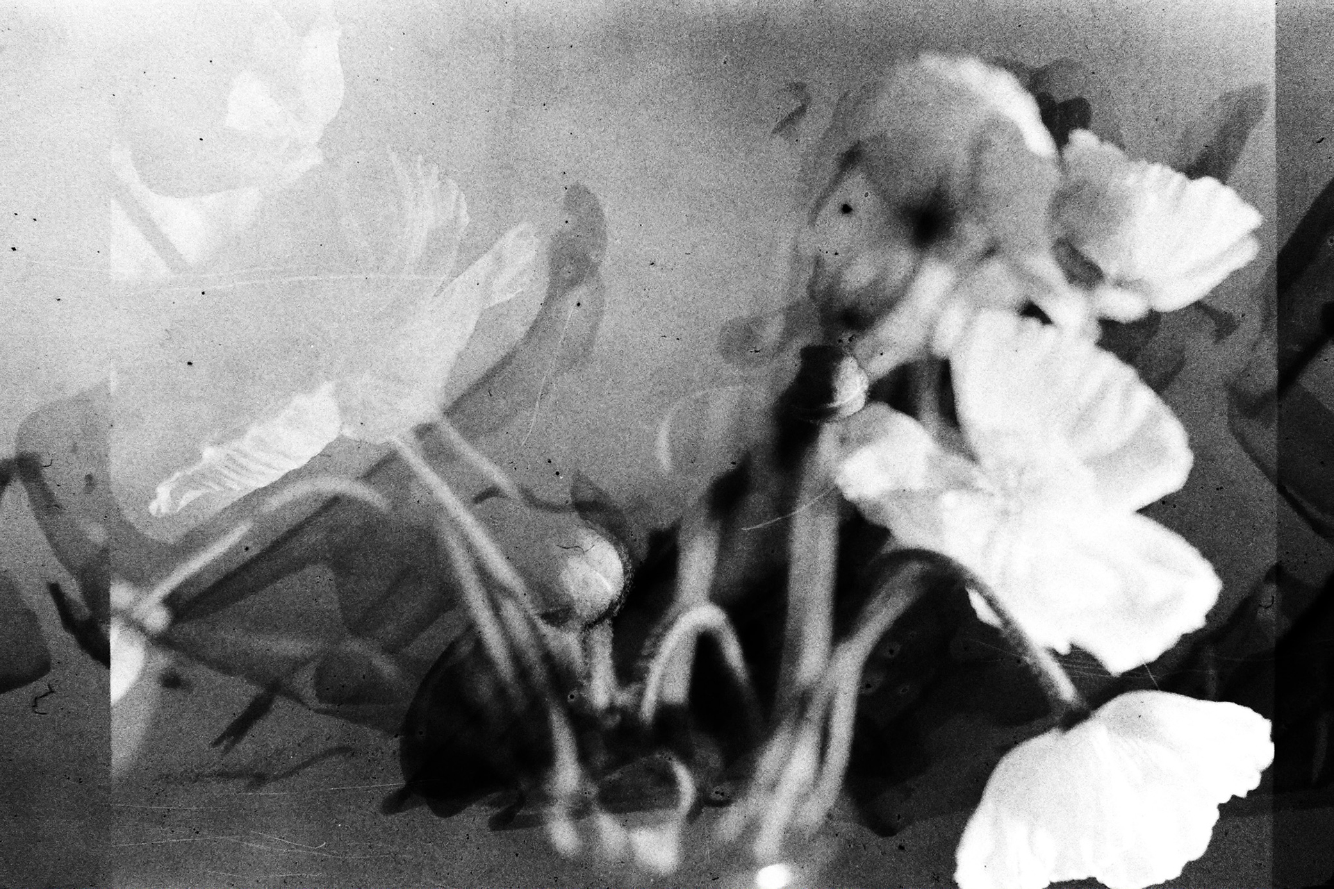 フミコトキオ | fumikotokio