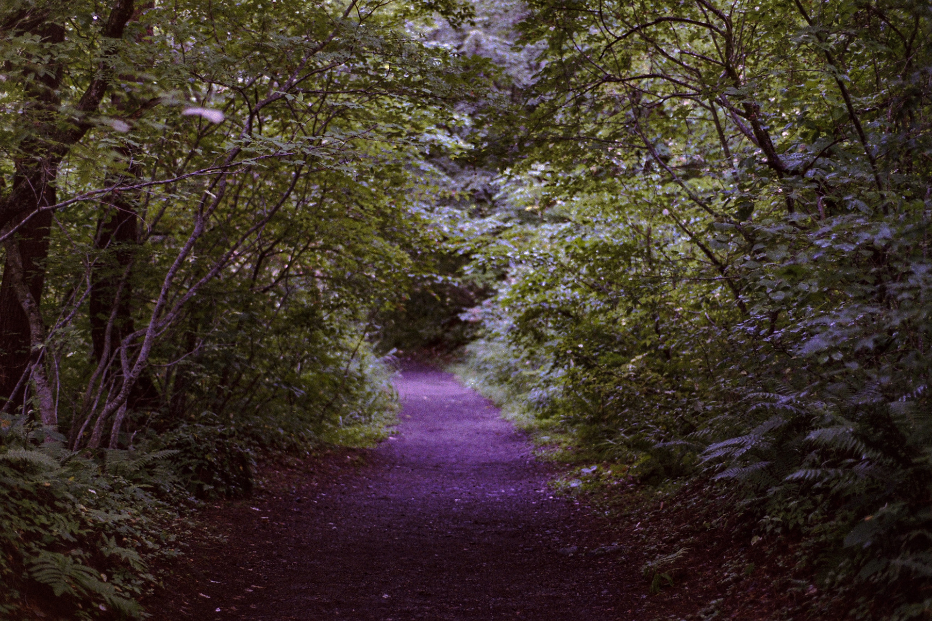 フミコトキオ | fumikotokio