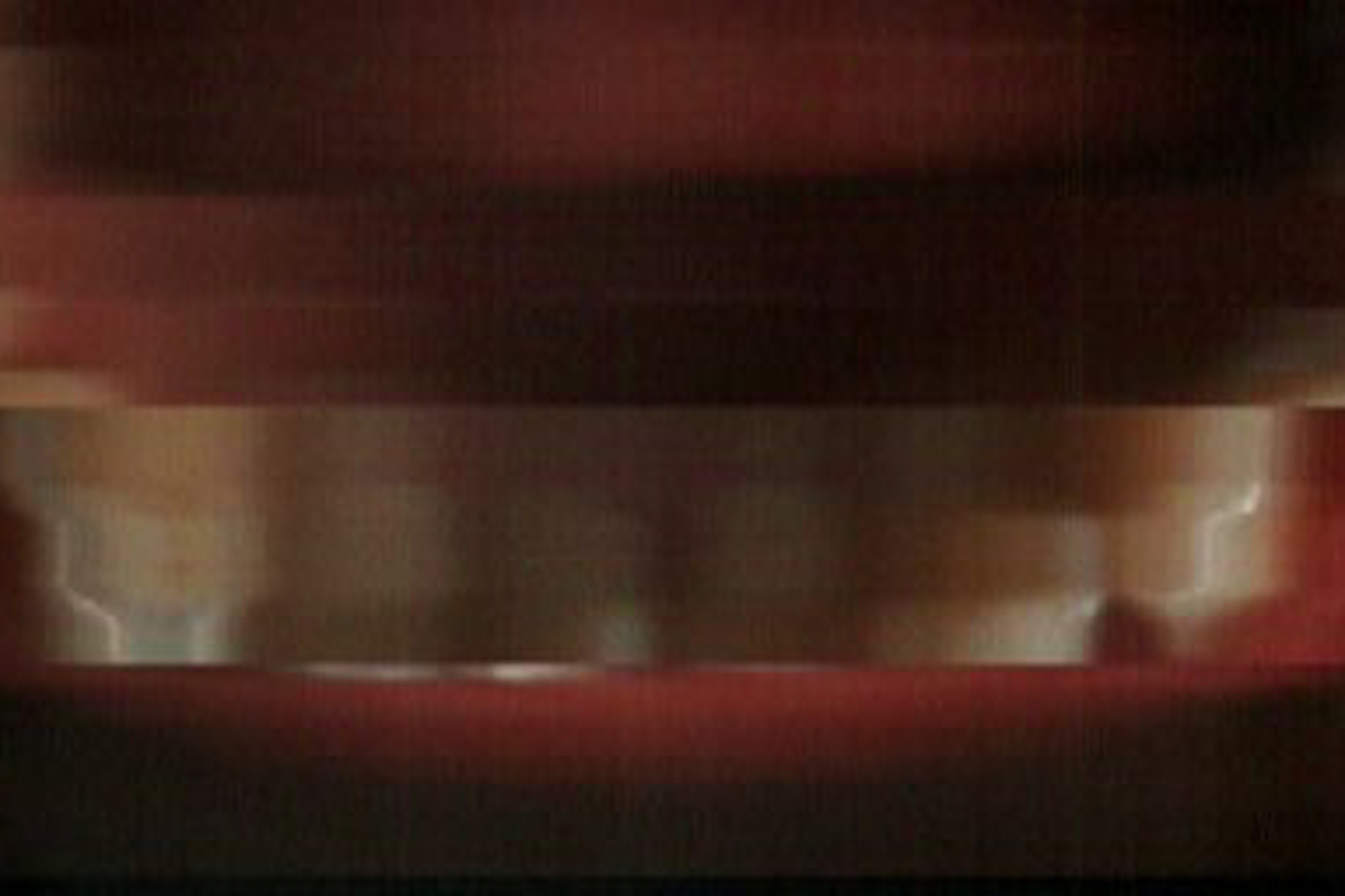 藤井さくら | Sakura Fujii 