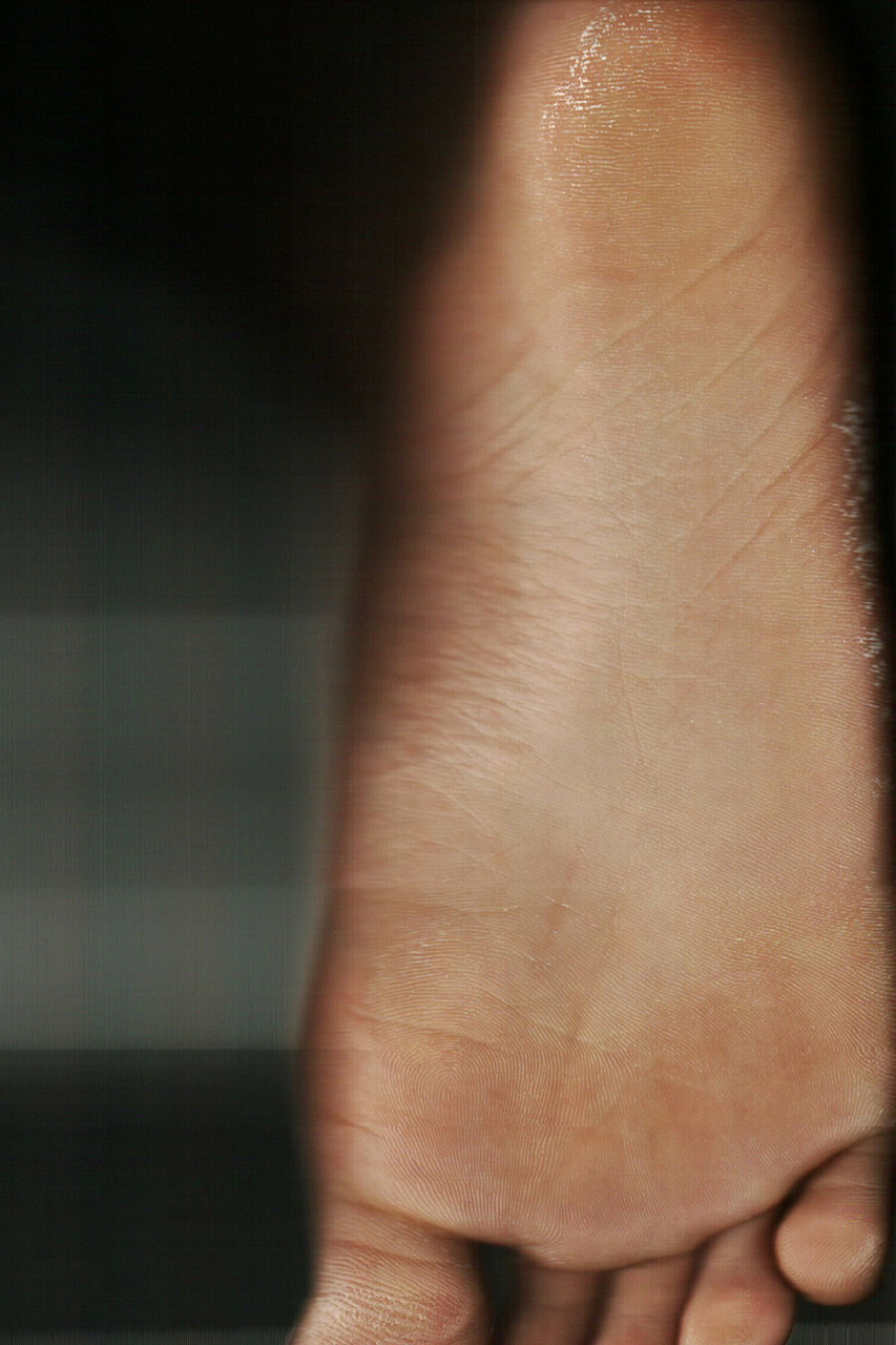 藤井さくら | Sakura Fujii 