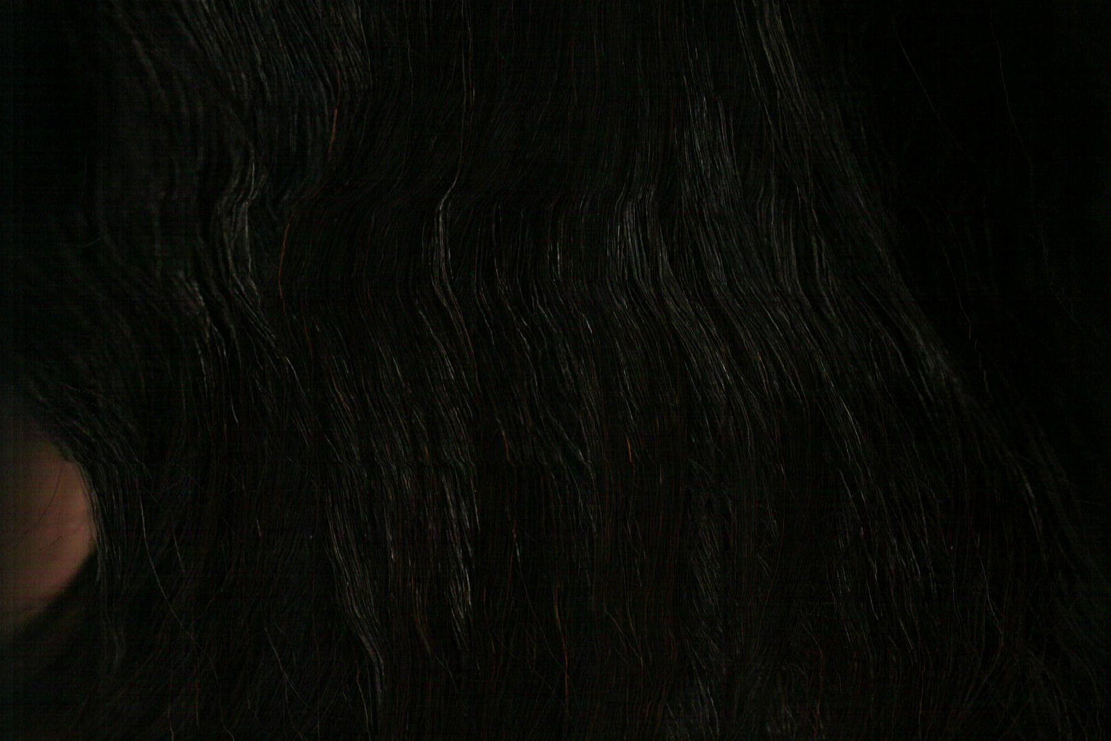 藤井さくら | Sakura Fujii 