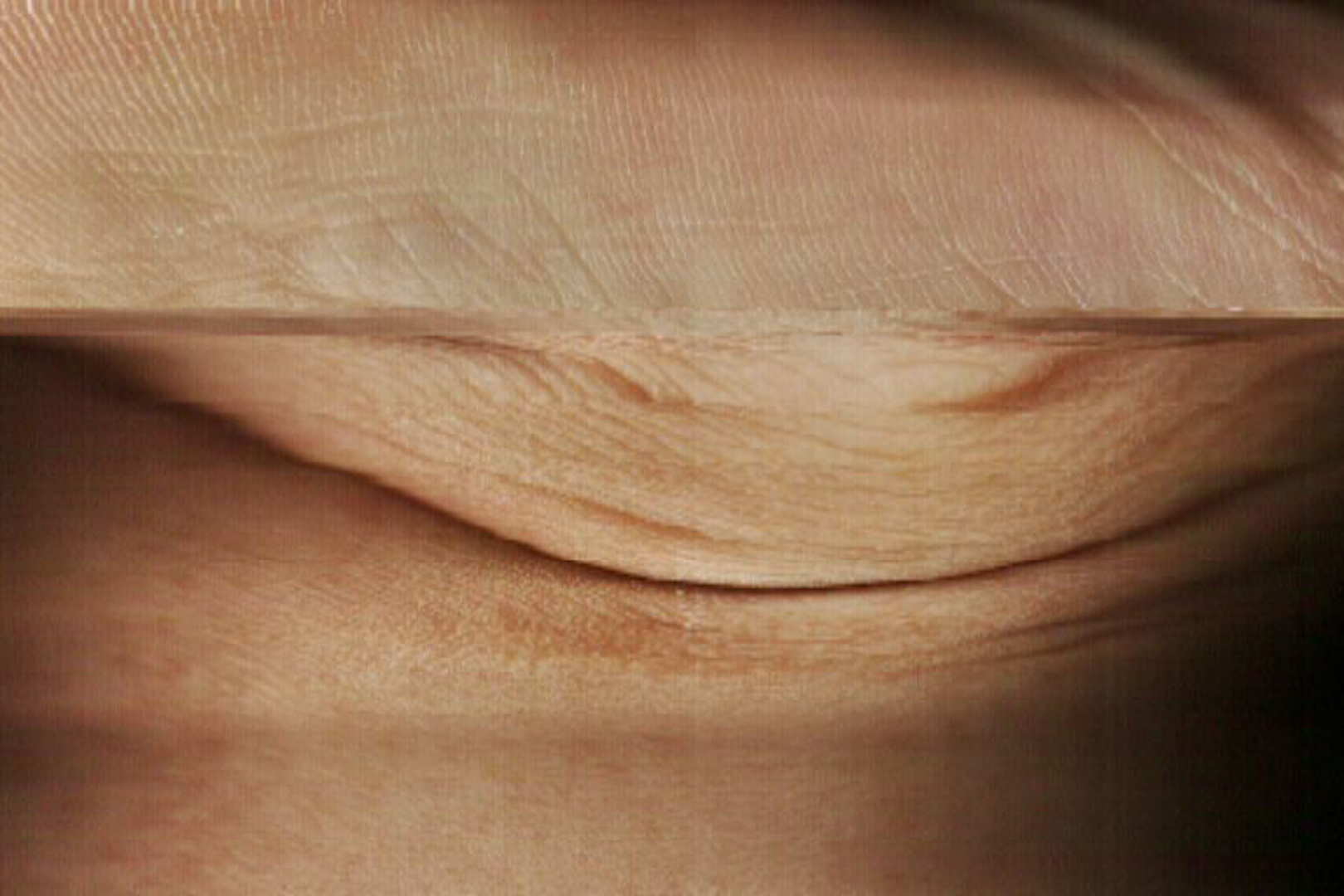 藤井さくら | Sakura Fujii 