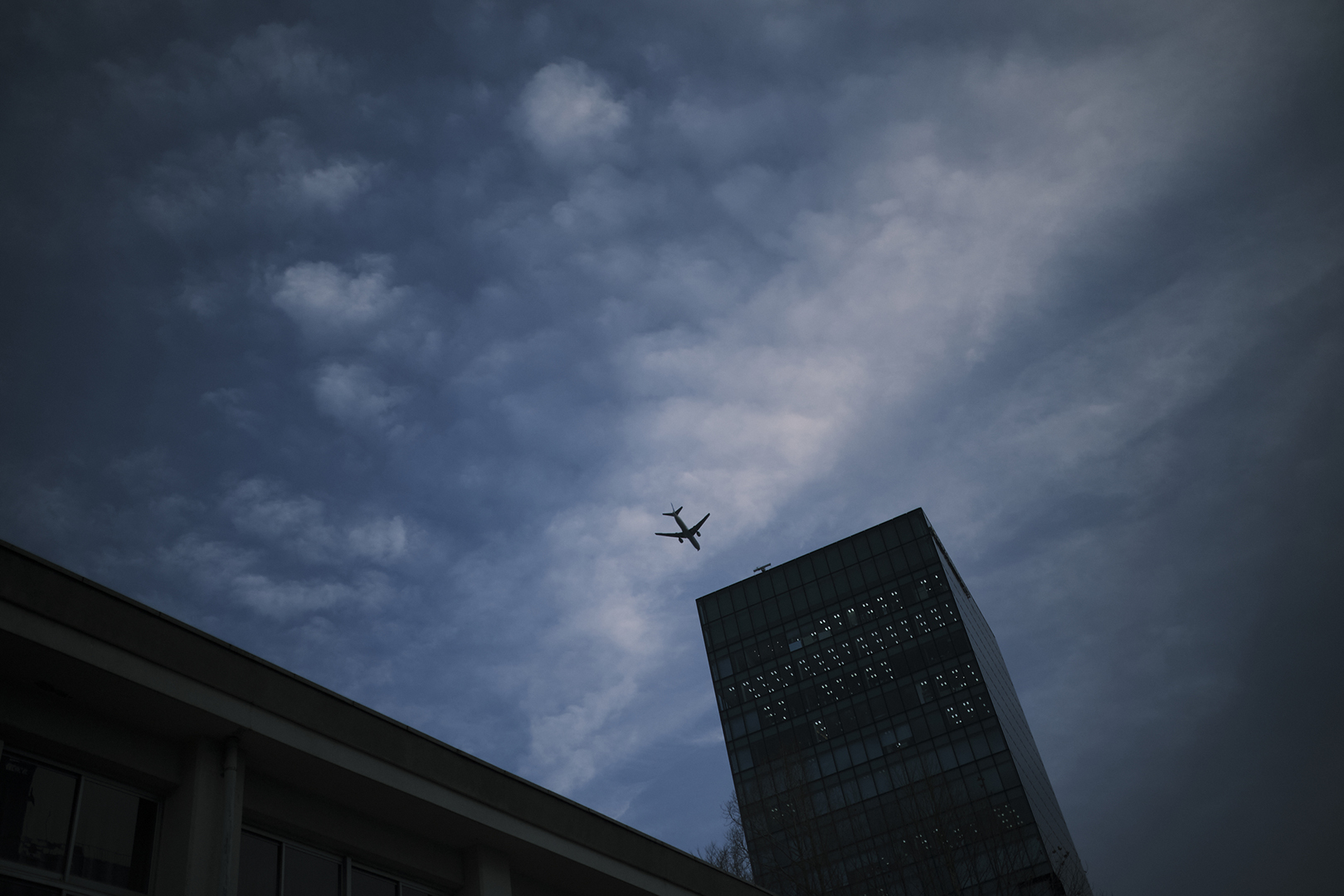 木村 巧 | Takumi Kimura