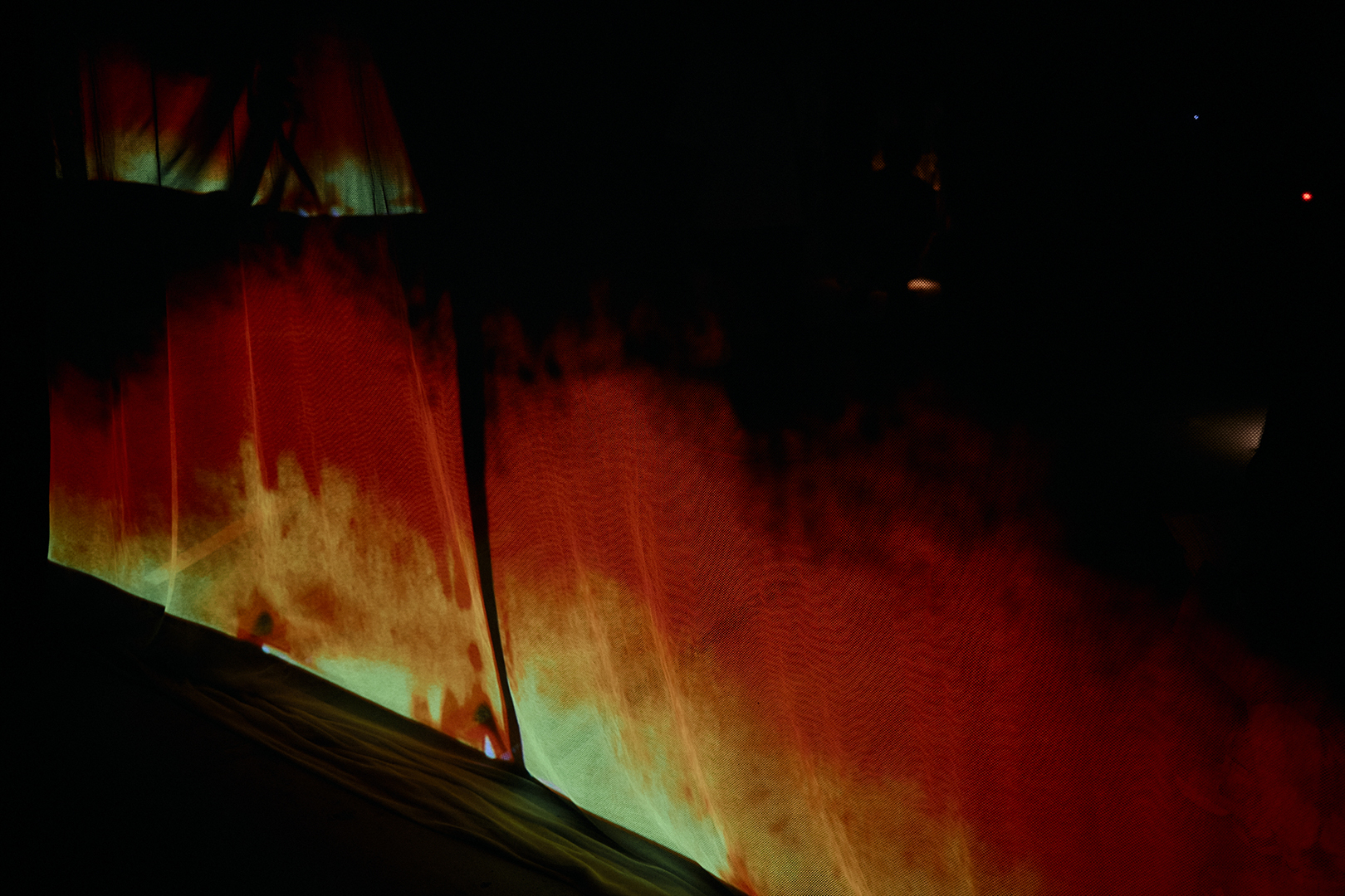 木村 巧 | Takumi Kimura