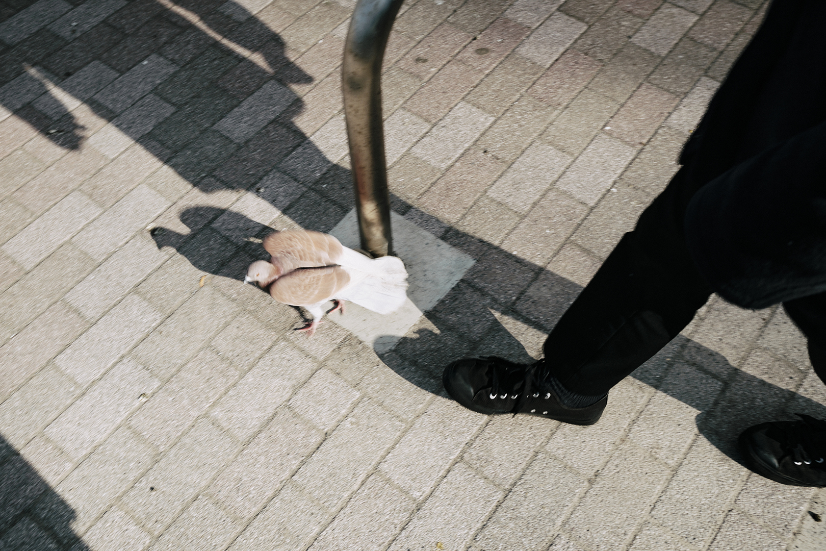 木村 巧 | Takumi Kimura