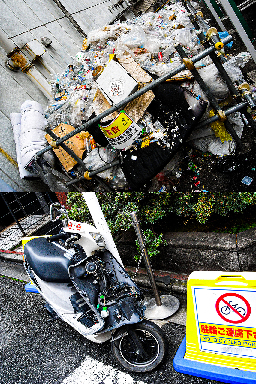 野秋 創 | Sou Noaki