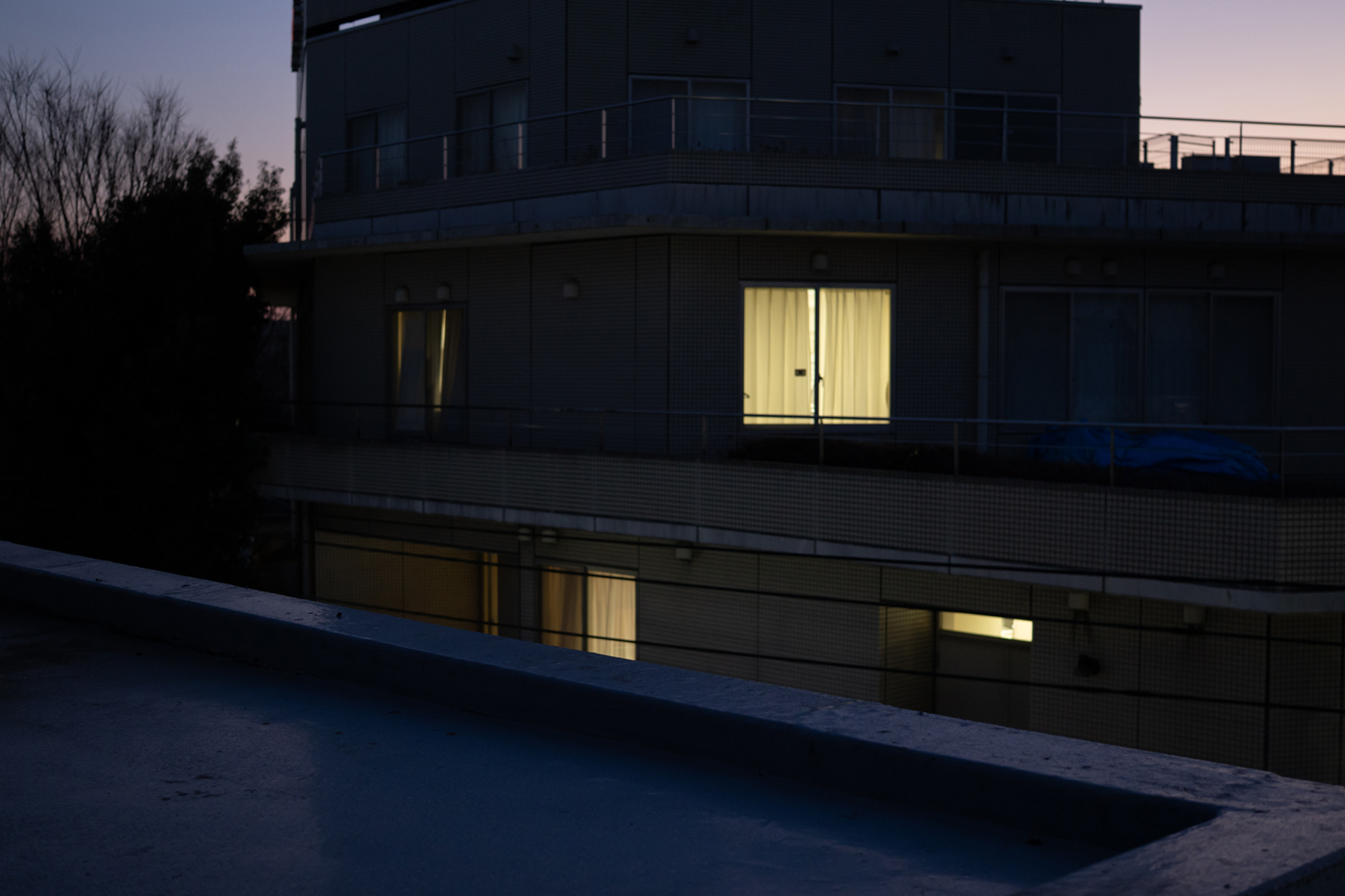 倉島 水生 | Miu Kurashima