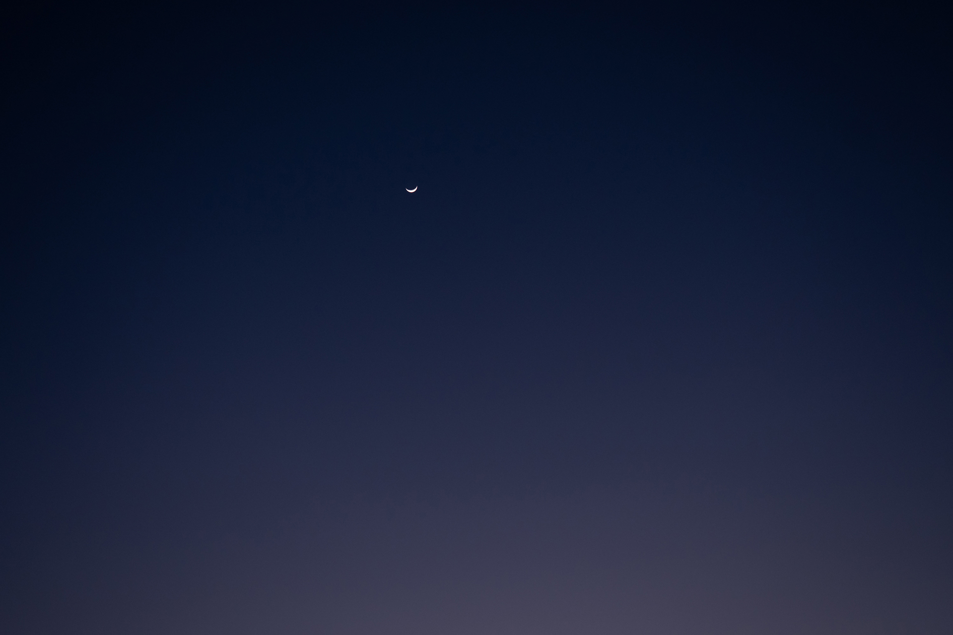 倉島 水生 | Miu Kurashima