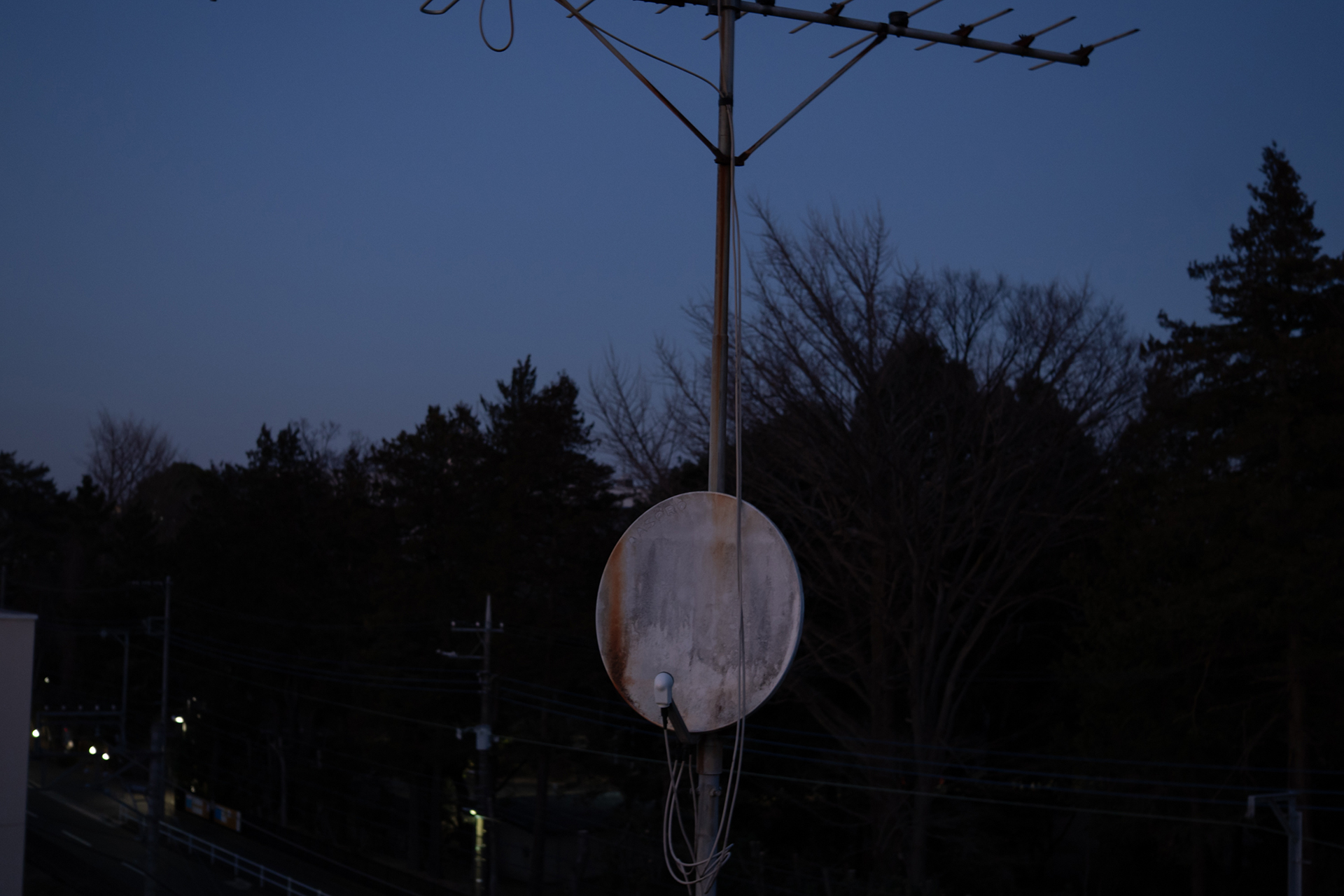 倉島 水生 | Miu Kurashima